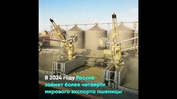 В 2024 году Россия займет более четверти мирового экспорта пшеницы